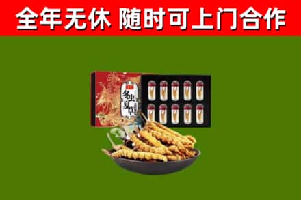 镇坪县回收冬虫夏草价格